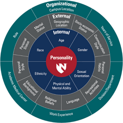 Diversity wheel