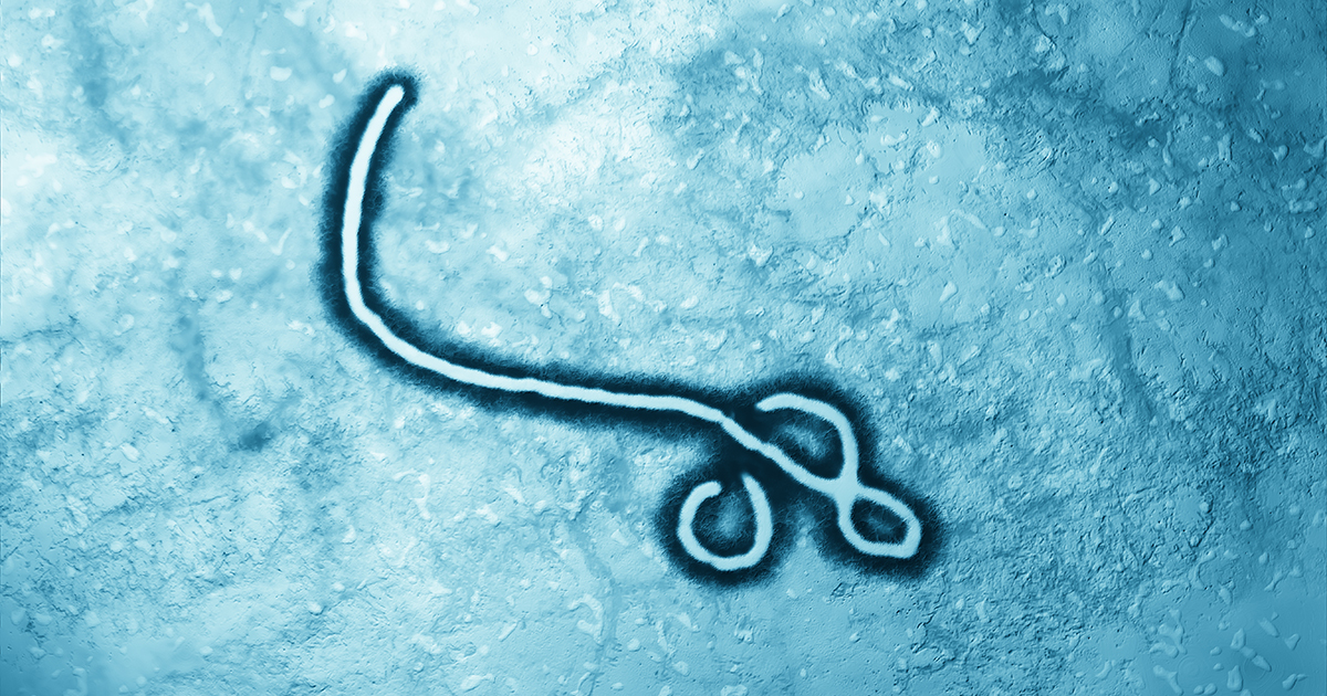 Ebola Virus