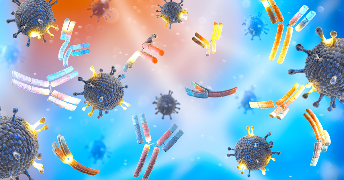 Drawing of monoclonal antibodies