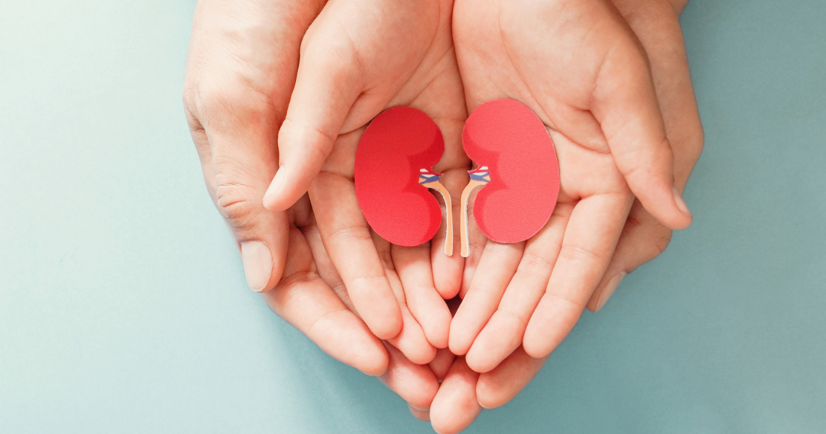 Two sets of hands holding paper kidneys