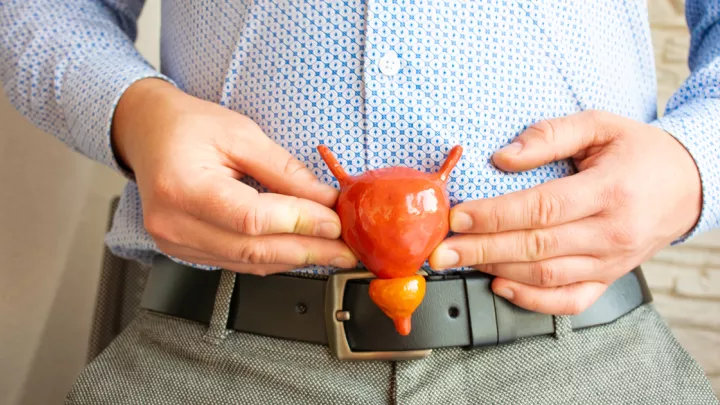 Man holding prostate replica