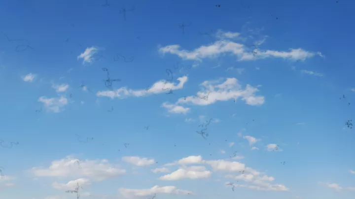 Simulated eye floaters over a cloudy blue sky