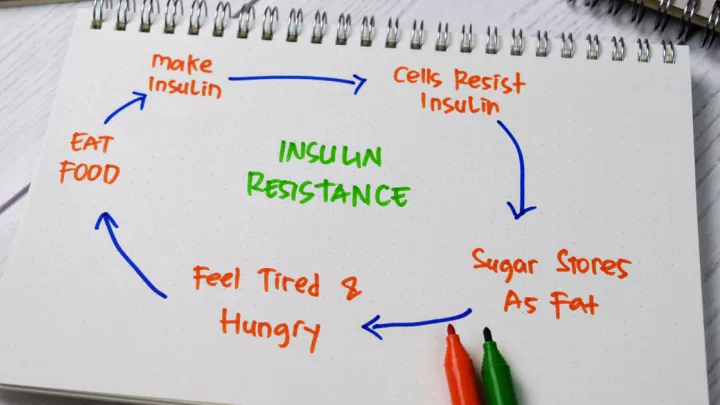 Insulin resistance