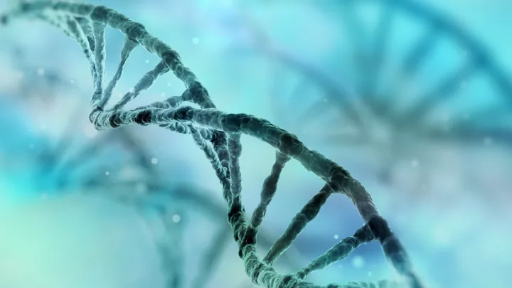 DNA strand