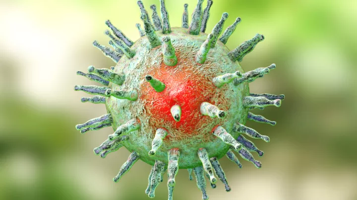 coronavirus visual