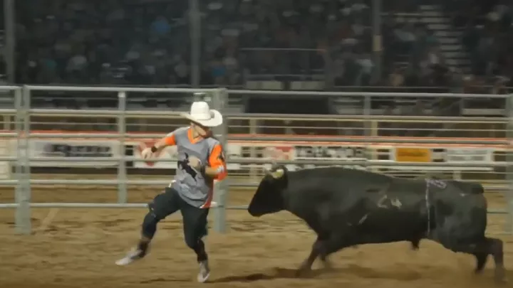 Ely Sharkey in the ring with a bull
