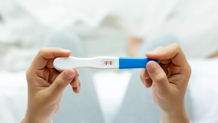 picture of a pregnancy test